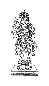Sree Santhosh Garments